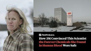 How 3M Convinced Me the Forever Chemicals I Found in Human Blood Were Safe