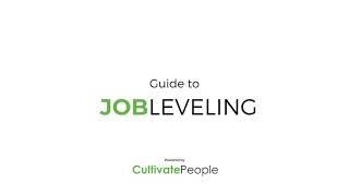 Guide to Job Leveling