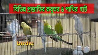 বিভিন্ন প্রজাতির কবুতর ও পাখির  হাট।।  Local Birds Market