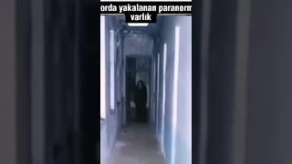 Koridorda yakalanan paranormal varlık  #paranormal #scaryvideos #scary #ghost