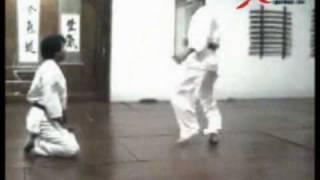 Aikido Indonesia - a hard style of aikido embu