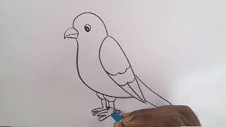 how to draw bird drawing easy step by step@aaravdrawingcreative1112