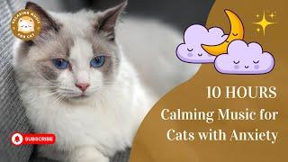 Calming Music for Cats with Anxiety No Ads 10 Hours  Relaxing Music For Cat