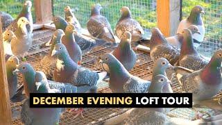 December Evening Loft Tour