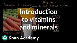 Introduction to vitamins and minerals  Biology foundations  High school biology  Khan Academy