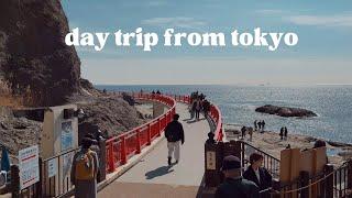 enoshima & kamakura vlog  tokyo day trip one hour from tokyo