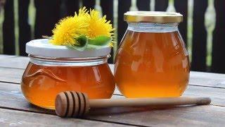 Make Your Own Dandelion Honey  Syrup