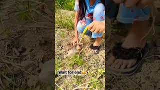 Mehbooba tu meri mehbooba  Desi khet me desi ladki #myfirstvlog #villagevlog #shorts