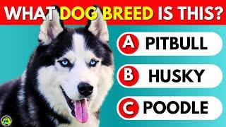 Guess The Dog Breed Quiz 