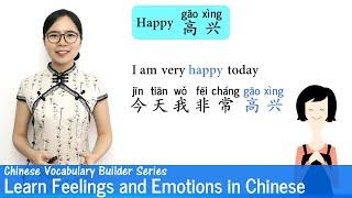 Learn Feelings & Emotions in Chinese  Vocab Lesson 18  Chinese Vocabulary Series