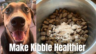 How to Improve Your Dogs Kibble Recipe Healthy food for dogs