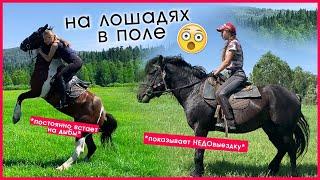 Чуть не СКИНУЛА ЛОШАДЬ В ПОЛЕ ?  ВЛОГ с Майзаса