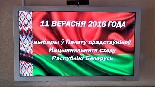 Выборы депутатов Палаты представителей проходят в Беларуси