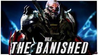 Halo’s Brutal Faction - The Banished  FULL Halo Lore & Origin Story