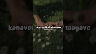 Kanavonnile chiri mayave  slowed + reverb  full song comment box pin #shorts #hearttouching #song