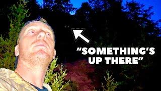 Bigfoot Threatens to Charge at Lone Investigator on Camera and Throws a Rock at Him in NC Mountains