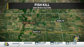 Iowa DNR investigates fish kill in Bremer County