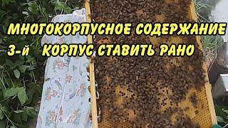 Многокорпусное содержание 3 корпус ставить рано пчеловодство