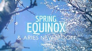 Spring Equinox   Slow Shaman Drum  New Moon in Aries   Portals are Open  March 2023