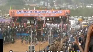 கோயம்புத்தூர் ஜல்லிக்கட்டு 28012018  coimbatore jallikattu 2018