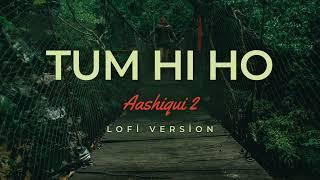 Tum Hi Ho Aashiqui 2 lofi song version  Aditya Roy Kapur Shraddha Kapoor  Music - Mithoon