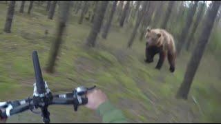 Bear Attack Man is trying to run away from attacking Bear GoPro