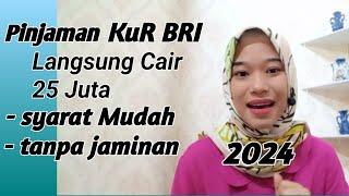 Pinjaman KUR BRI 2024 Langsung Cair 25 Juta syarat mudah tanpa jaminan