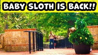 Bushman Prank Return of Baby Sloth 2023