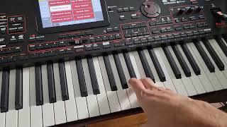 KORG PA4X OVERVIEW AND REVIEW. FIRST IMPRESSION. Buttons. Style Demos.