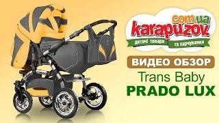 Универсальная коляска трансформер Prado Lux Trans Baby  Прадо люкс