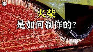 火柴是如何制作的？每小时能制作出200万根，难怪火柴这么便宜