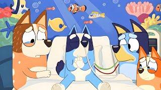 How Blueys Older Brother Died - Characters Passing Away In Bluey