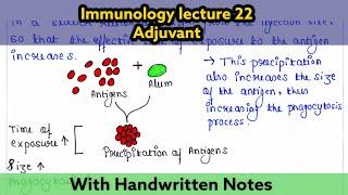 Adjuvant  Immunology lecture 22  Readymade notes for exam