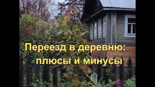 Плюсы и минусы деревенской жизни. Переезд в деревню что нужно знать о деревенсой жизни