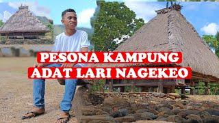 Melihat Keindahan Kampung Adat Lari di Desa Rendu Teno Aesesa Selatan Nagekeo Flores NTT