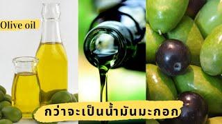 น้ำมันมะกอก​คุณ​ภาพ​ดี​จากสวนของเรา​ ผลิต​ไม่พอ​ขายลูกค้า มาชมขั้นตอน​การทำ? How to make Olive​ Oil