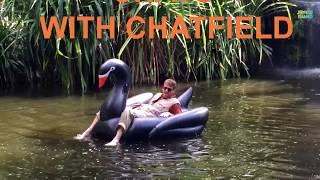 Chats with Chatfield   Homeschool   Black Swan