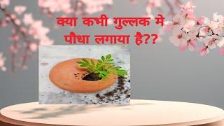 क्या कभी गुल्लक मे पौधा लगाया है? इस तरीके को जानने के बाद आप भी लगाएंगे।।#gardening #video#nature 