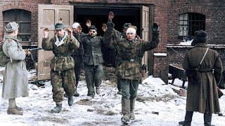 1800 Bodies Of WWII German Soldiers Found Inside Stalingrad