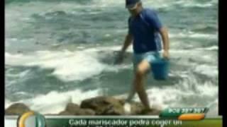 Temporada de lapas - Canarias Directo