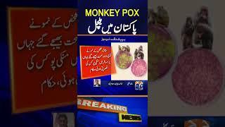 M-pox has increased rapidly In Pakistan - Alert - Breaking News - Geo News