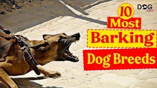 10 Dog Breeds That Bark The Most