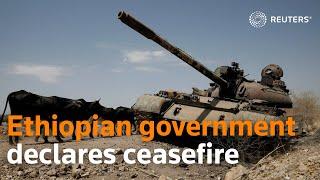 Ethiopian government declares ceasefire