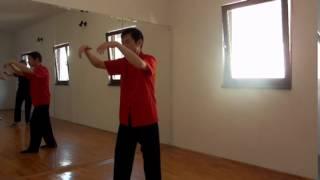 Yiquan Pressing & Raising Movement FuAn Shili