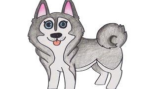 How To Draw Siberian Husky Cartoon