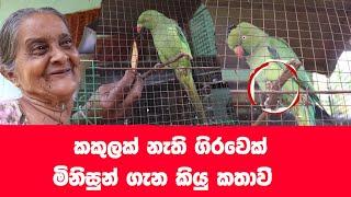 කකුලක් නැති අහිංසක ගිරවා