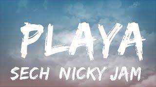 Sech Nicky Jam Rauw Alejandro - Playa letra   30mins Chill Music