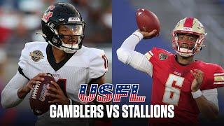 USFL Extended Highlights - Houston Gamblers vs. Birmingham Stallions  - Week 9