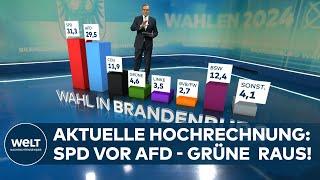 LANDTAGSWAHL IN BRANDENBURG - AKTUELLE HOCHRECHNUNG SPD vor AFD BSW vor CDU GRÜNE & BVBFW raus