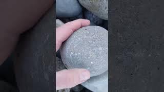 How do I know theres a fossil in a rock  #short #fossil